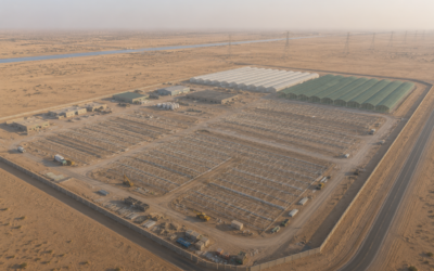 Avoiding the ‘Technology Trap’ in GCC Agriculture